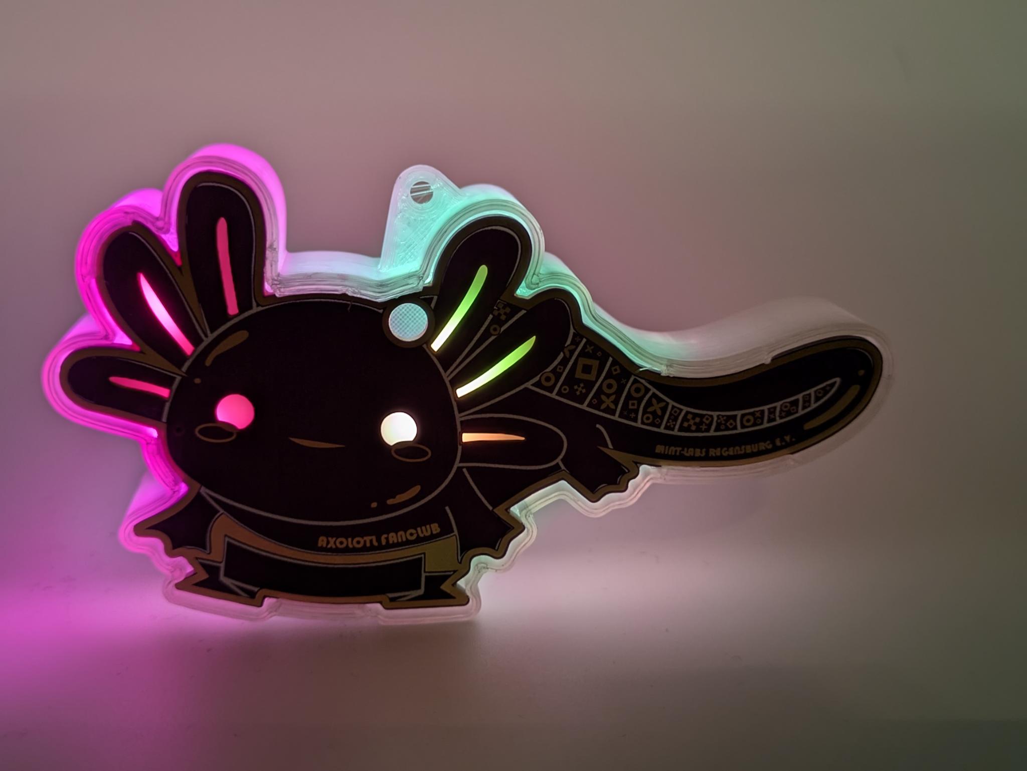 Snapfit Case for Axolotl Soldering Kit