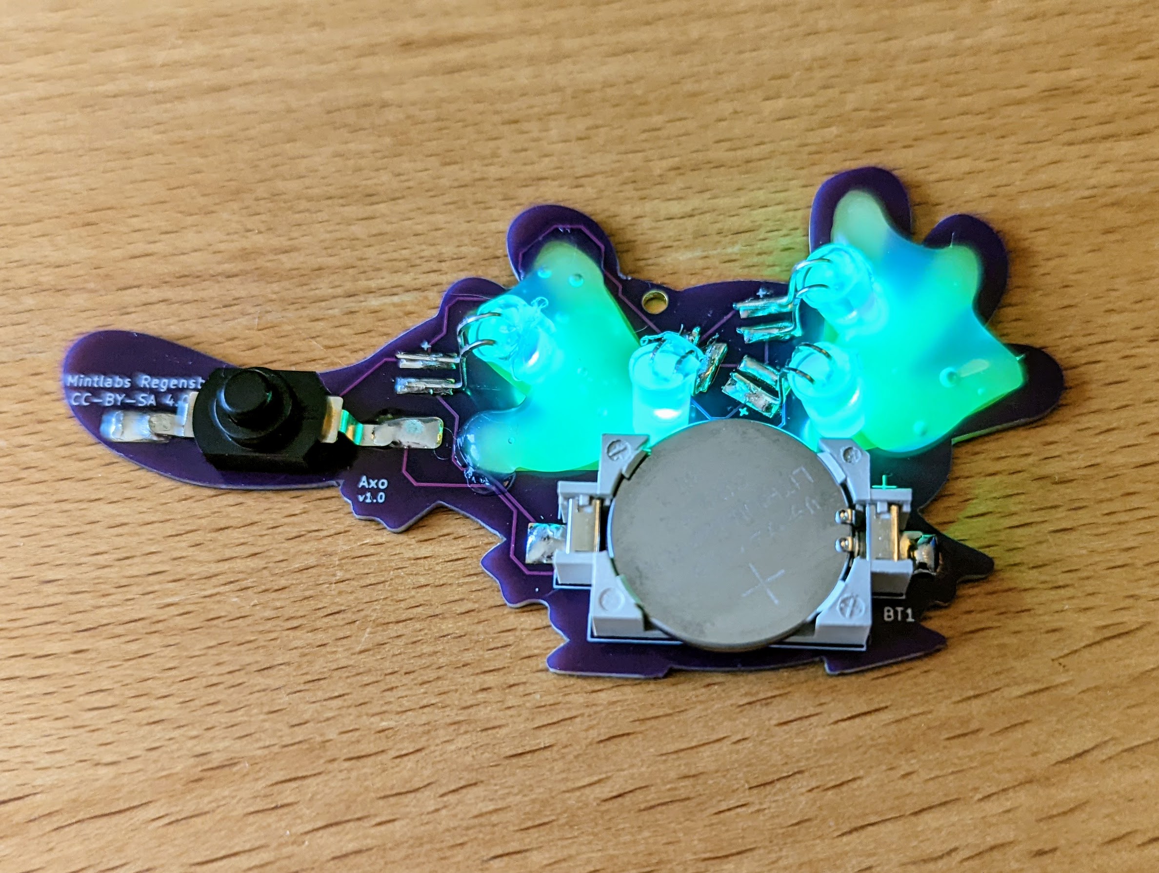 Axolotl Platine – Rückansicht von oben, vollständig verlötet und türkis leuchtend