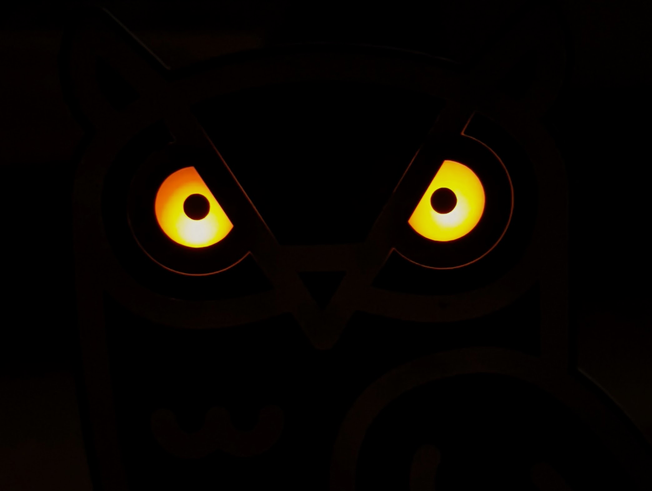 Leuchtende Augen der OwlThief Eule im Dunkeln
